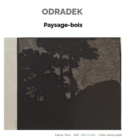 Odradek invite 6 artistes sur le thème du paysage-bois