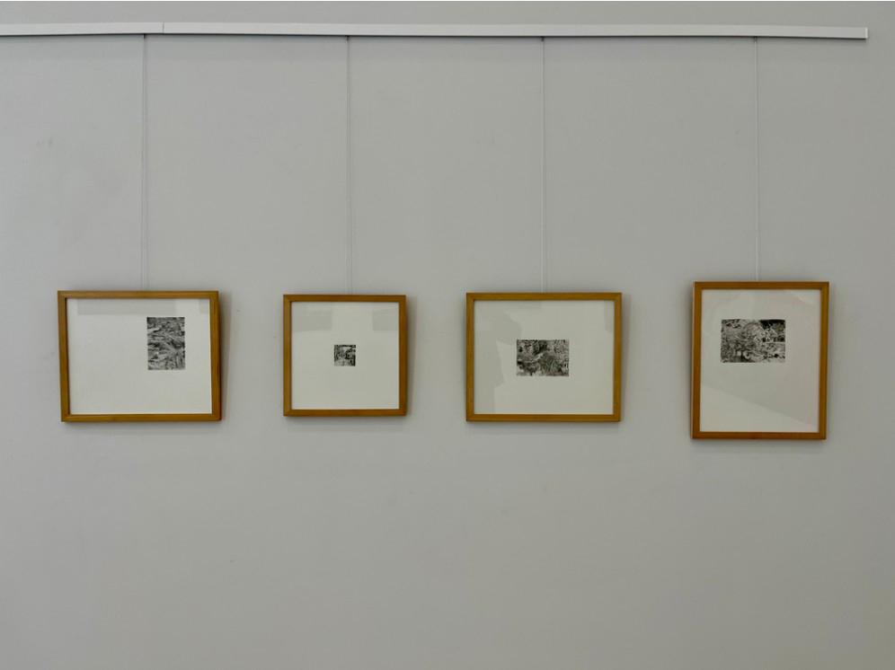 Vue de l'exposition Dreamland à In-Gate Gallery, la série de papier carbone 'Les bois'